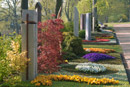 Friedhofsgärtnerei Fahle in Höxter - Dauergrabpflege: Foto 03